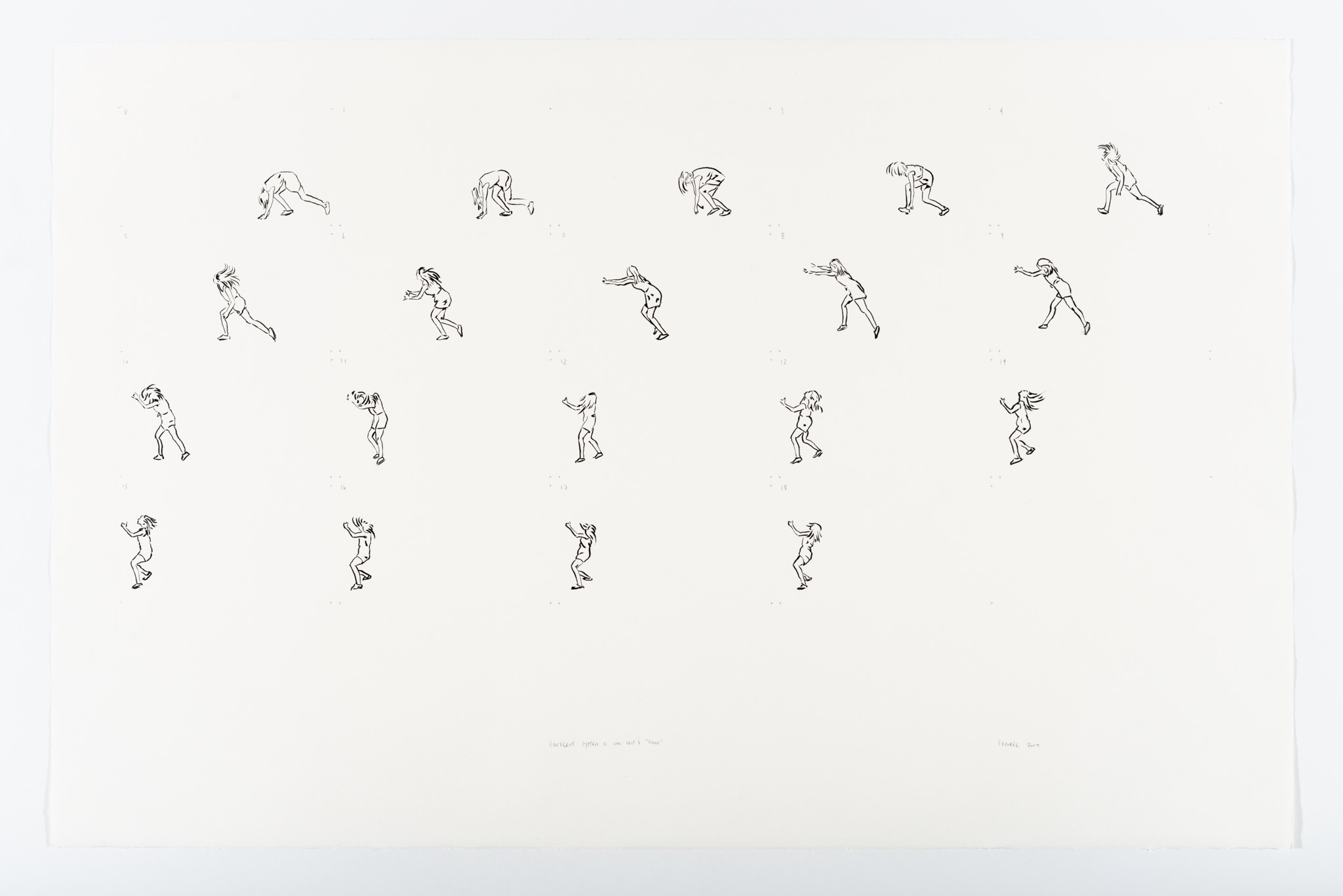 Drawing from Emergent System