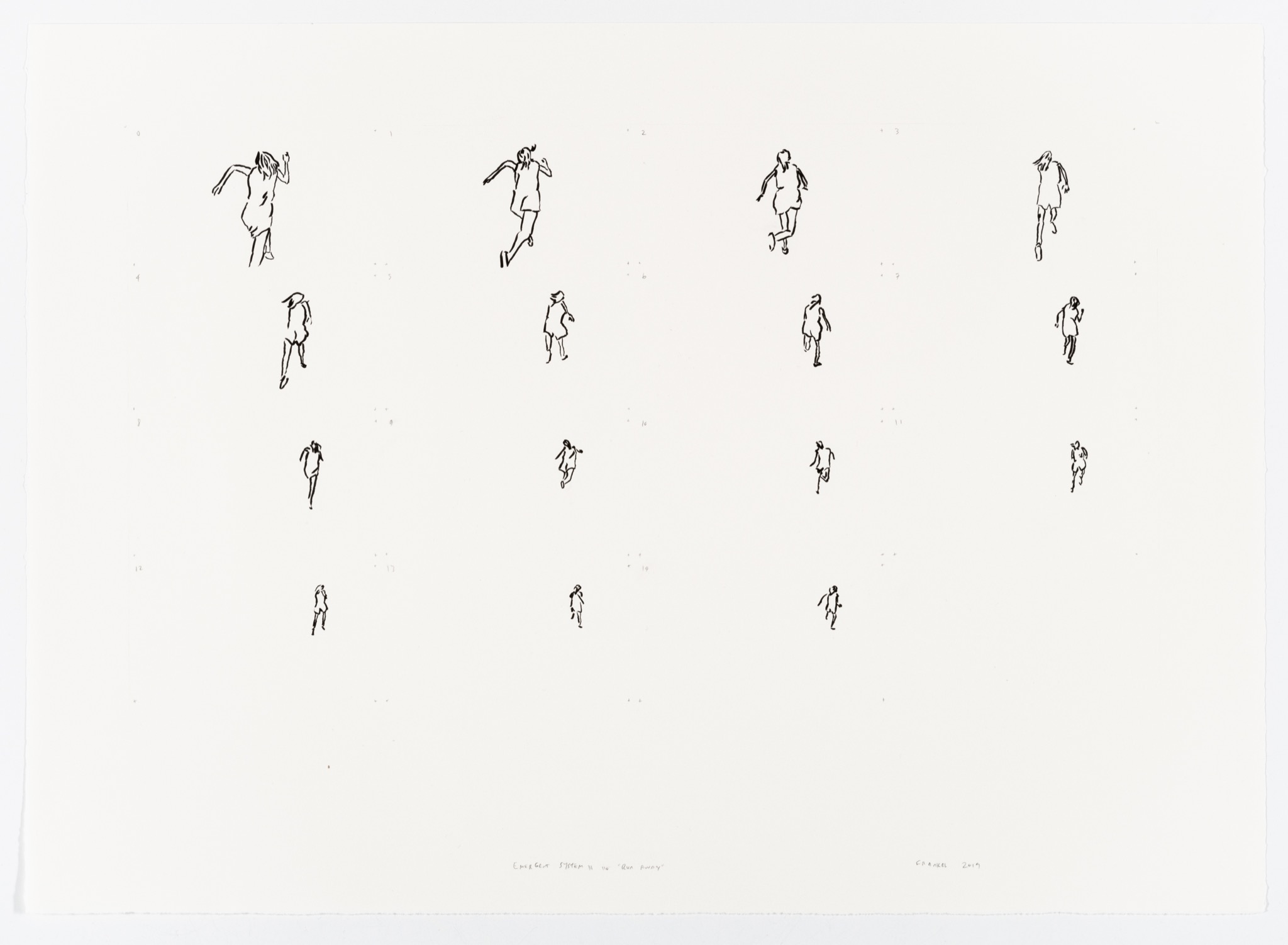 Drawing from Emergent System